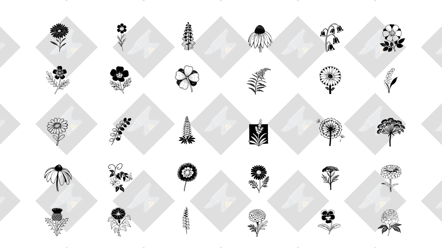 Wildflower Meadow — 30 Botanical Vector Silhouettes | SVG + PNG - Image 1