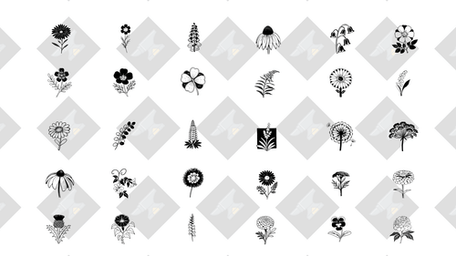 Wildflower Meadow — 30 Botanical Vector Silhouettes | SVG + PNG - Image 1